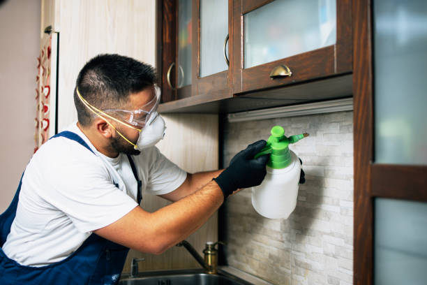Best Flea Control Services  in Saunders Lake, OR