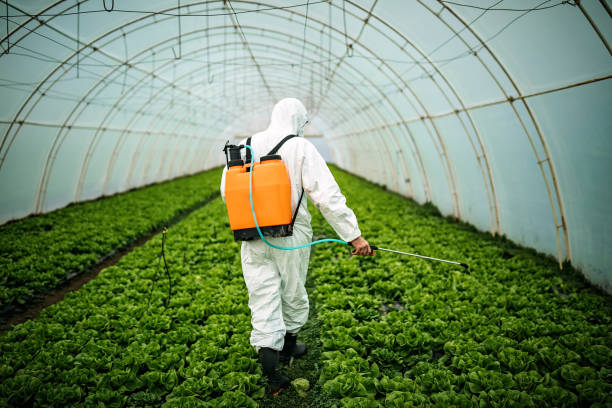 Best Pest Control Treatment  in Saunders Lake, OR