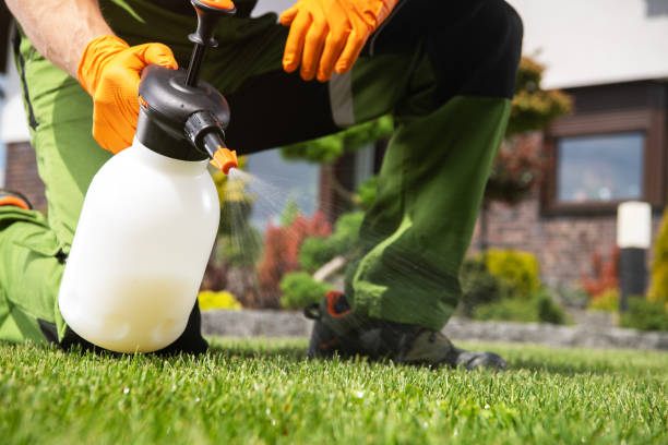 Best Residential Pest Control  in Saunders Lake, OR