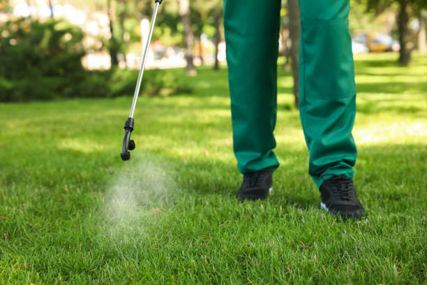 Best Local Pest Control Services  in Saunders Lake, OR