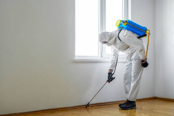 Best Termite Control Services  in Saunders Lake, OR