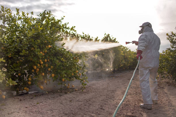 Pest Control for Restaurants in Saunders Lake, OR