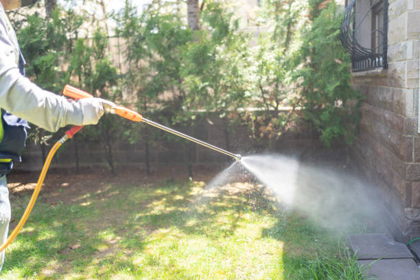 Best Pest Removal Services  in Saunders Lake, OR