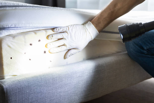 Pest Control Cost in Saunders Lake, OR