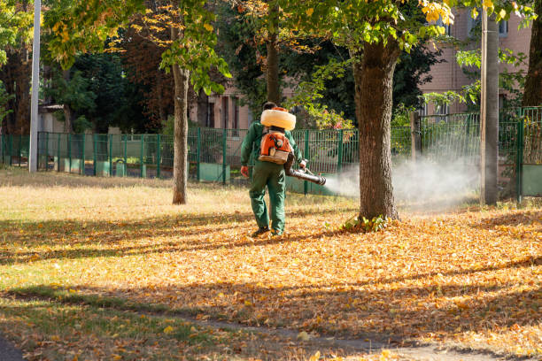 Best Cockroach Control Services  in Saunders Lake, OR