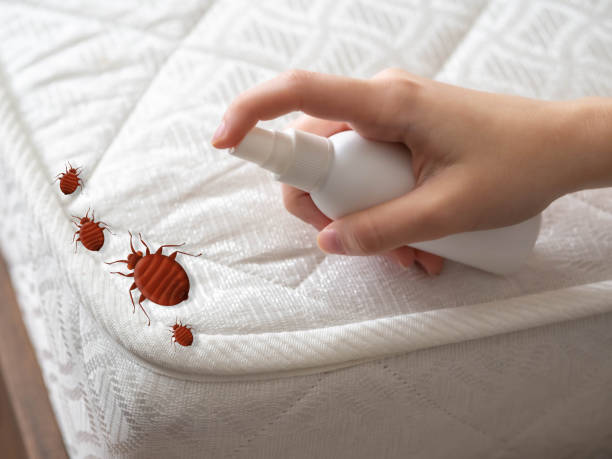 Best Best Pest Control Companies  in Saunders Lake, OR
