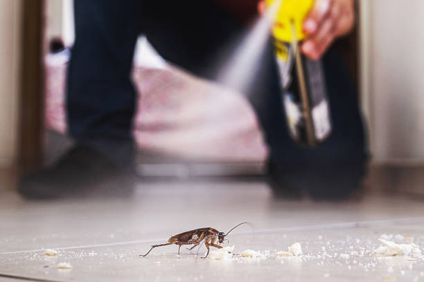 Best Wasp Removal Services  in Saunders Lake, OR