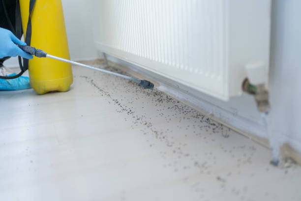 Best Pest Control for Restaurants  in Saunders Lake, OR
