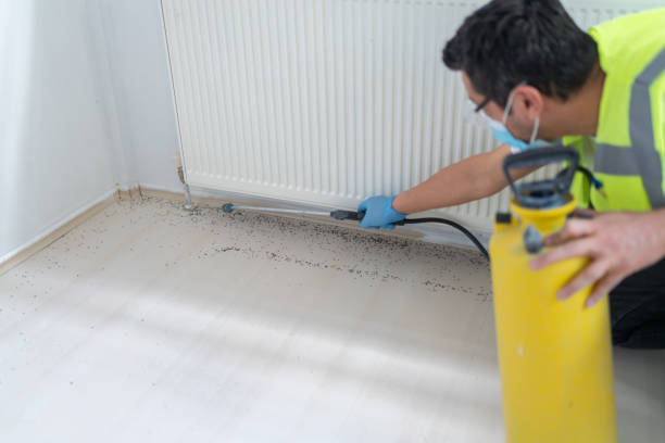 Best Ant Control Services  in Saunders Lake, OR