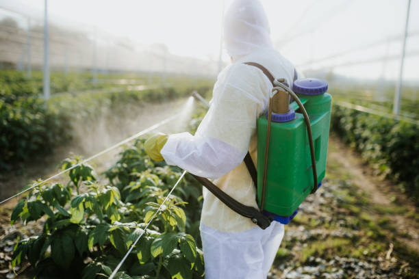 Best Flea Control Services  in Saunders Lake, OR